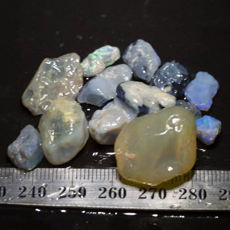 81 ct Beginners Rough Opal with Video Tutorials