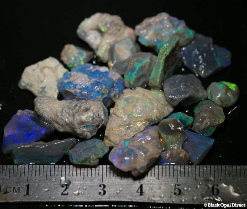 91 ct Beginners Rough Opal with Video Tutorials