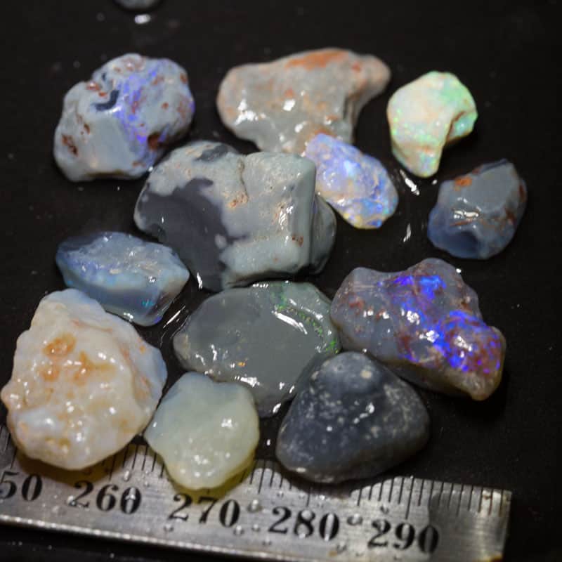 91 ct Beginners Rough Opal with Video Tutorials