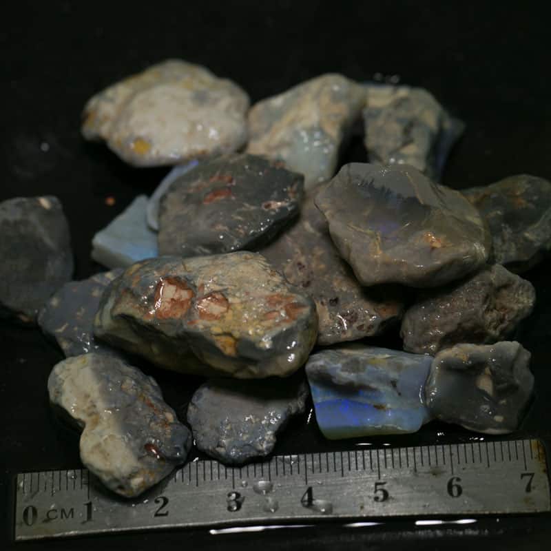 291ct Beginners Rough Opal with Video Tutorials